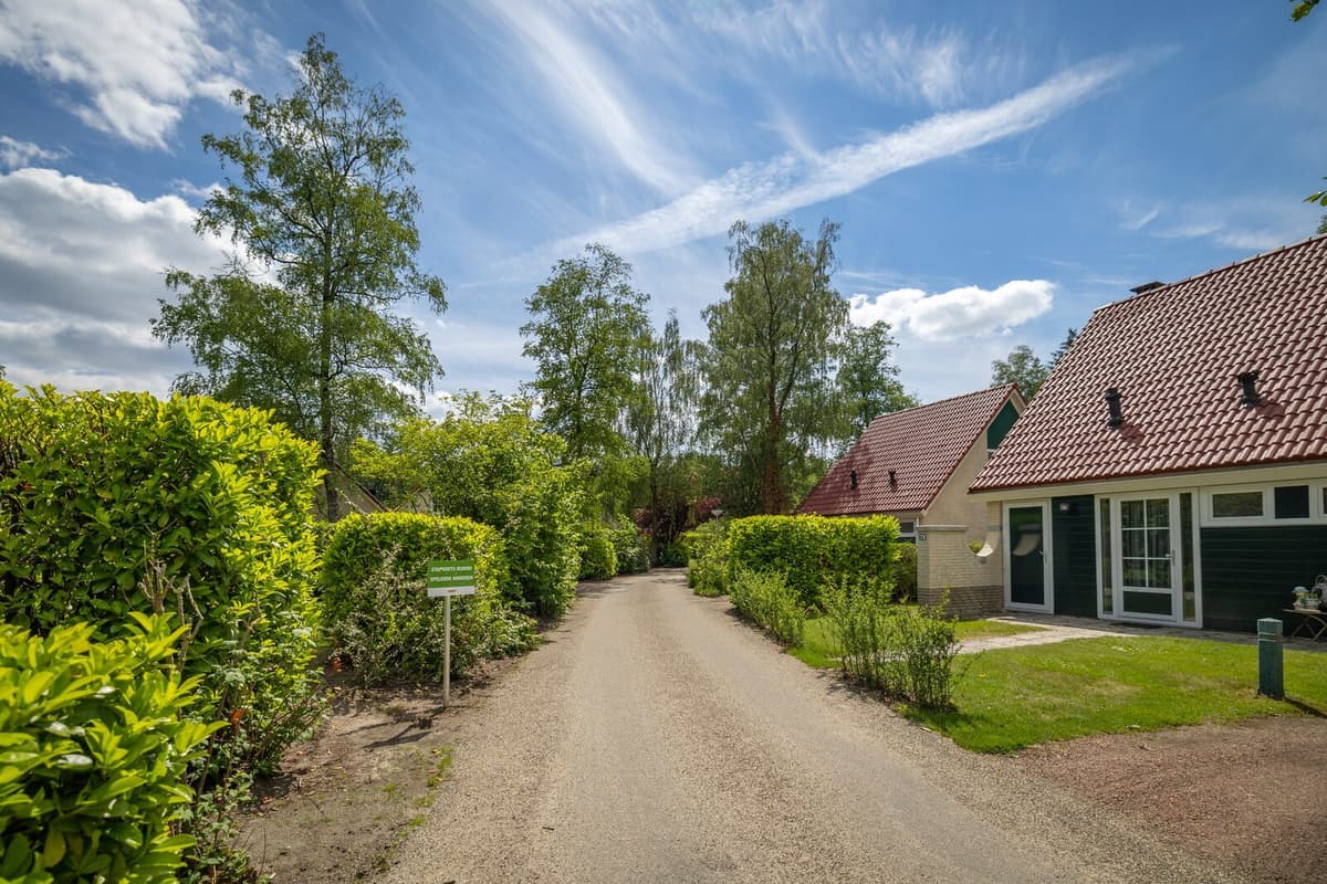 Workation in België: 5x de beste vakantieparken voor werken op afstand