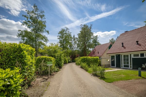 Workation in België: 5x de beste vakantieparken voor werken op afstand